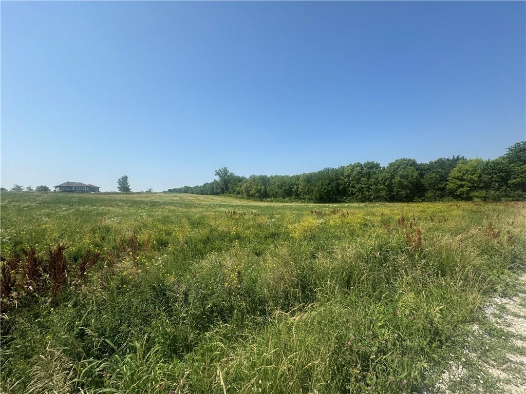 Listing Photo MLS #HMS2556032