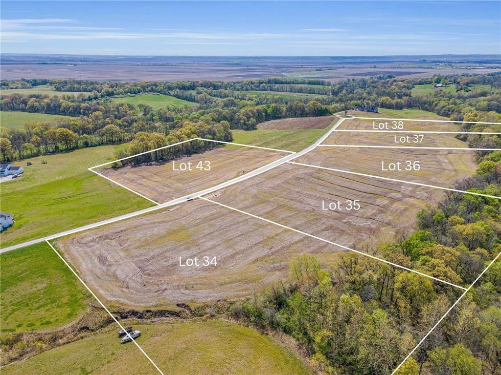 Listing Photo MLS #HMS2556176