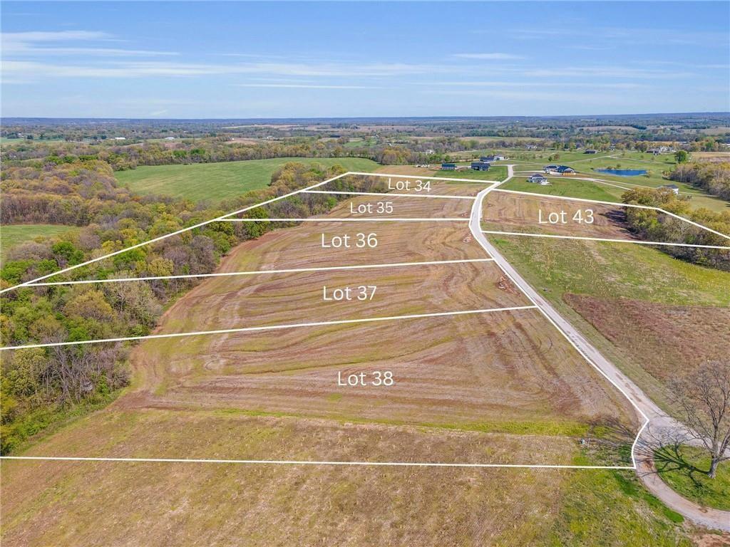 Listing Photo MLS #HMS2556181