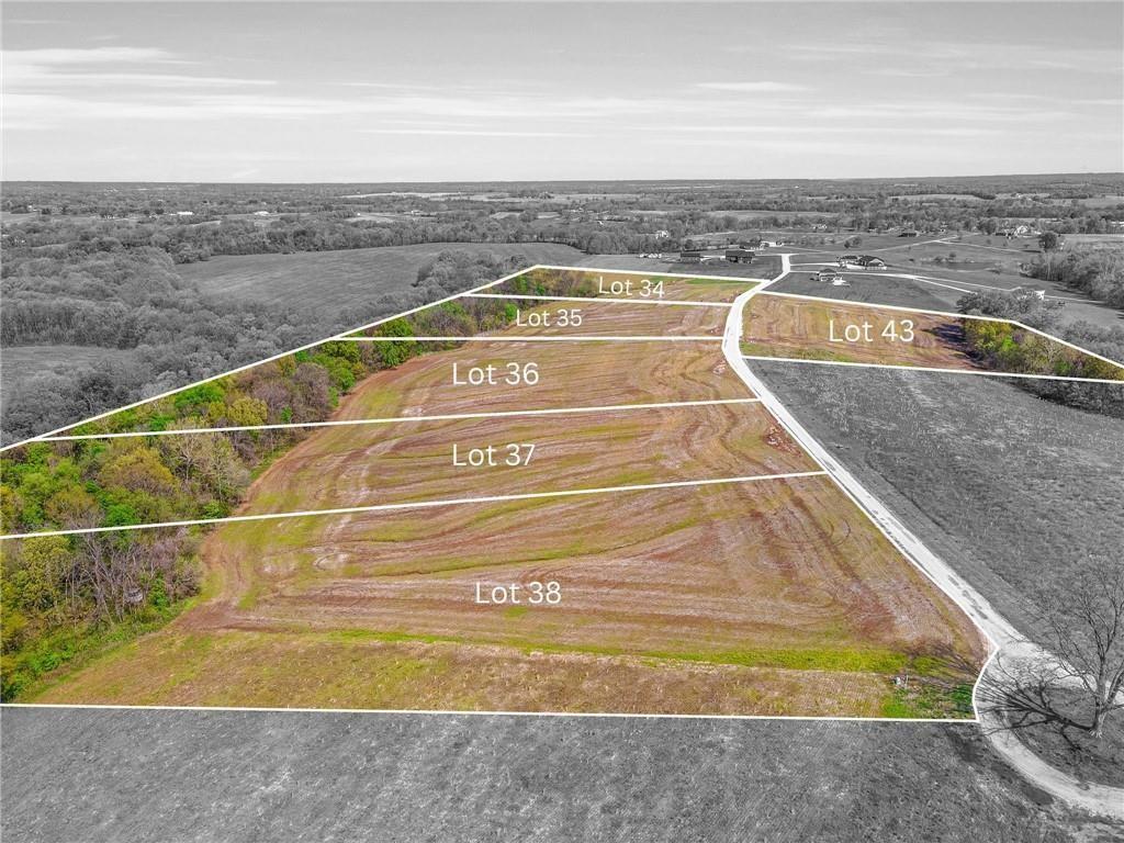 Listing Photo MLS #HMS2556183