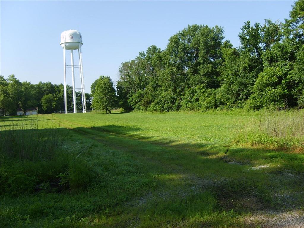 Listing Photo MLS #HMS2556212