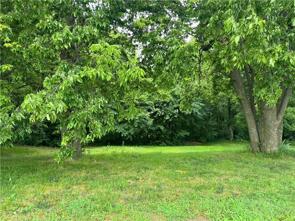 Listing Photo MLS #HMS2556235