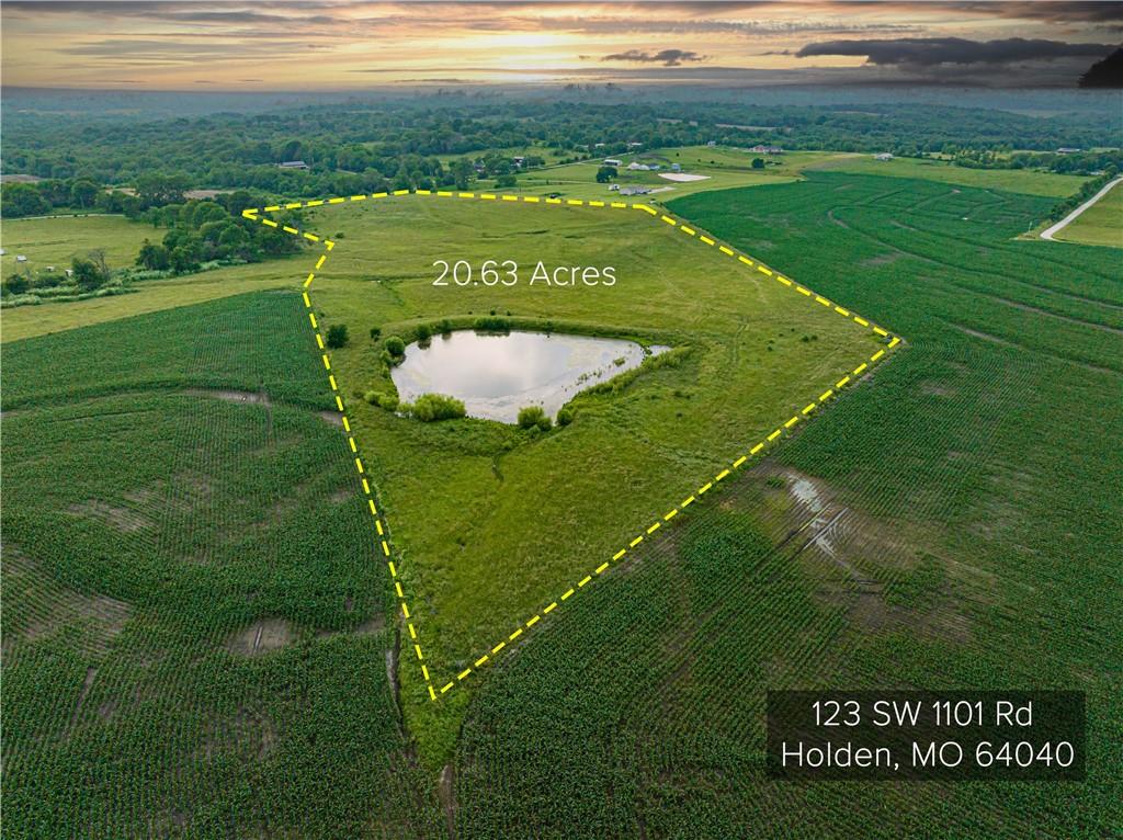 Listing Photo MLS #HMS2556437