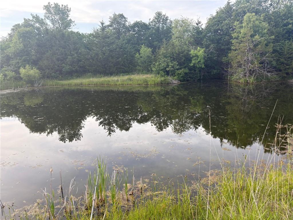 Listing Photo MLS #HMS2556519