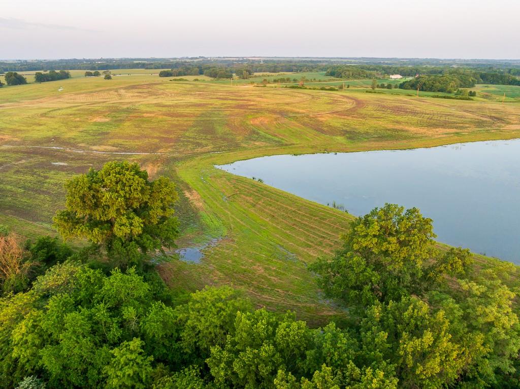 Listing Photo MLS #HMS2556590