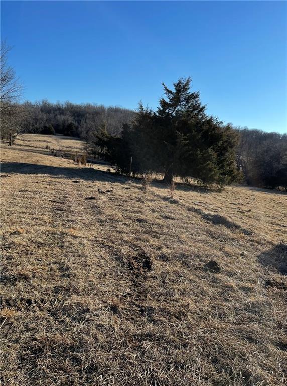 Listing Photo MLS #HMS2556601