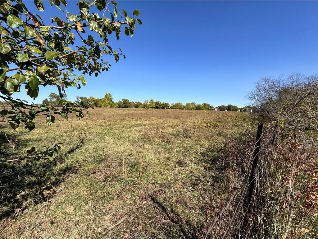 Listing Photo MLS #HMS2556760