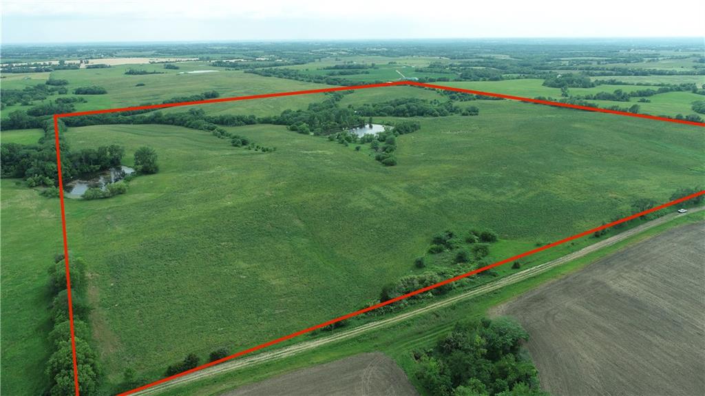 Listing Photo MLS #HMS2556849