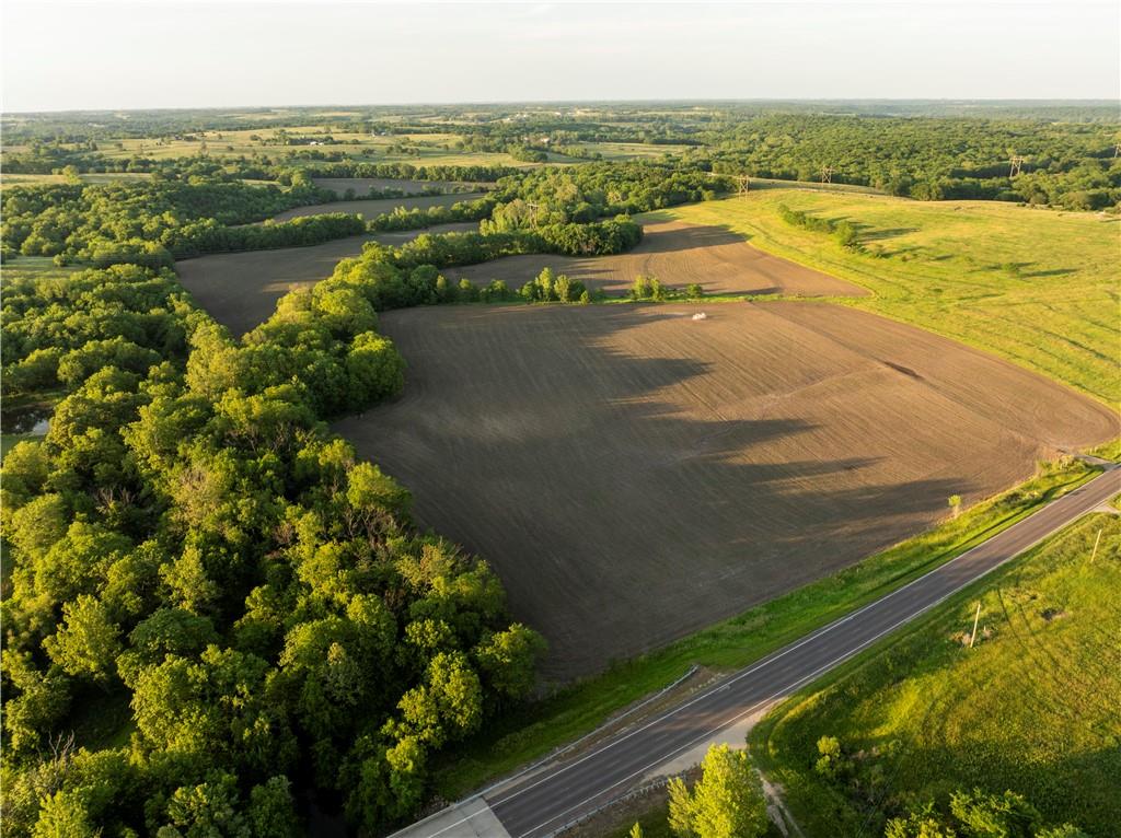 Listing Photo MLS #HMS2556945