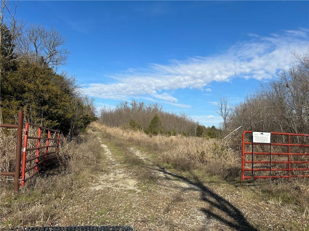 Listing Photo MLS #HMS2556961