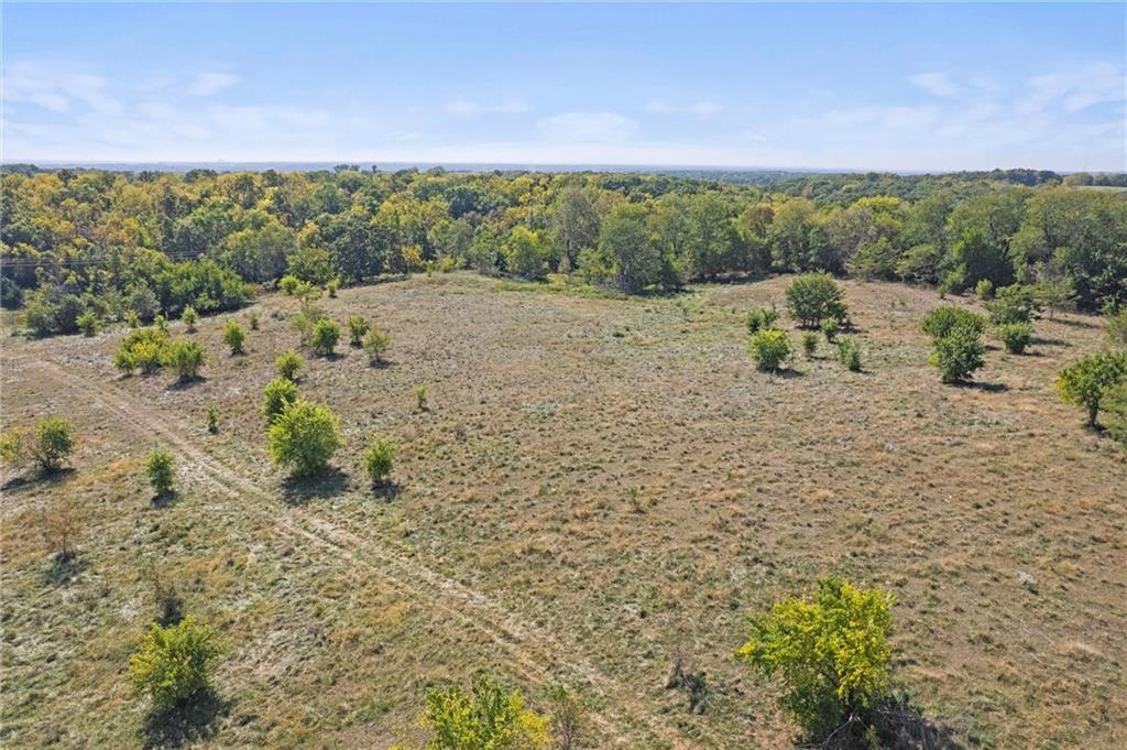 Listing Photo MLS #HMS2557046