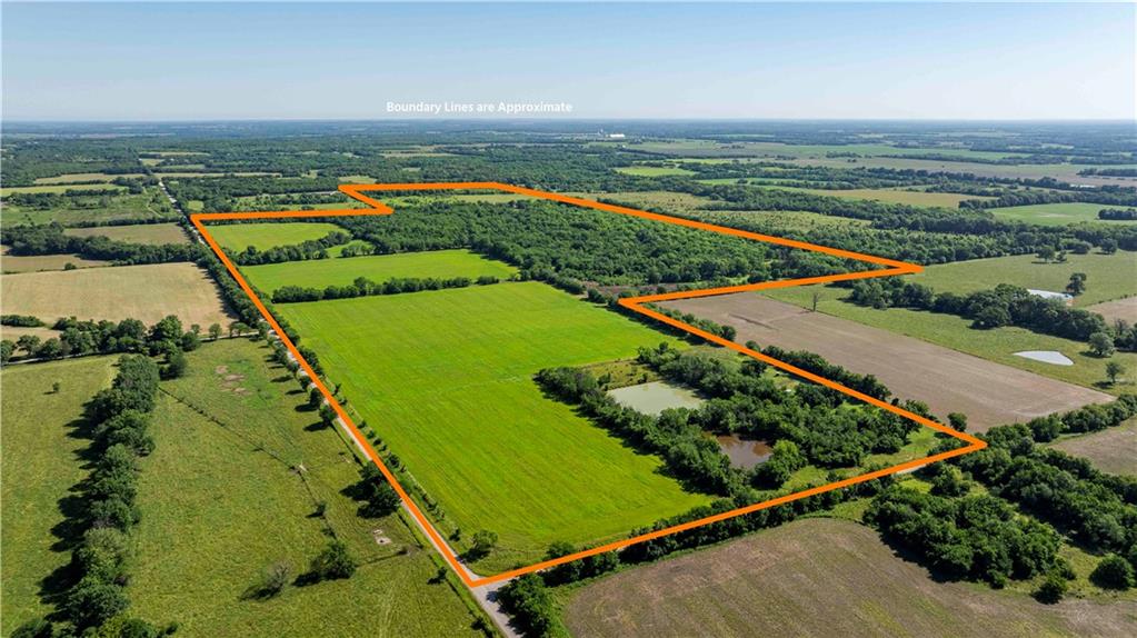Listing Photo MLS #HMS2557084
