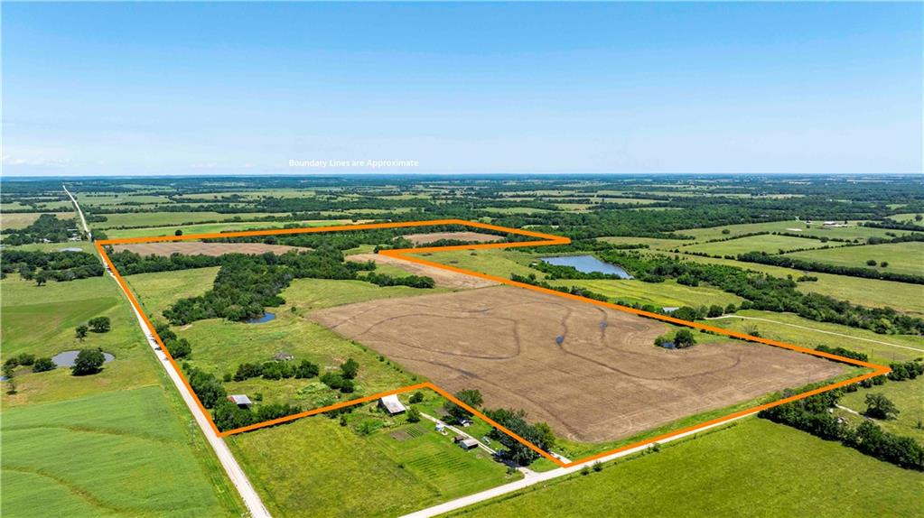 Listing Photo MLS #HMS2557096