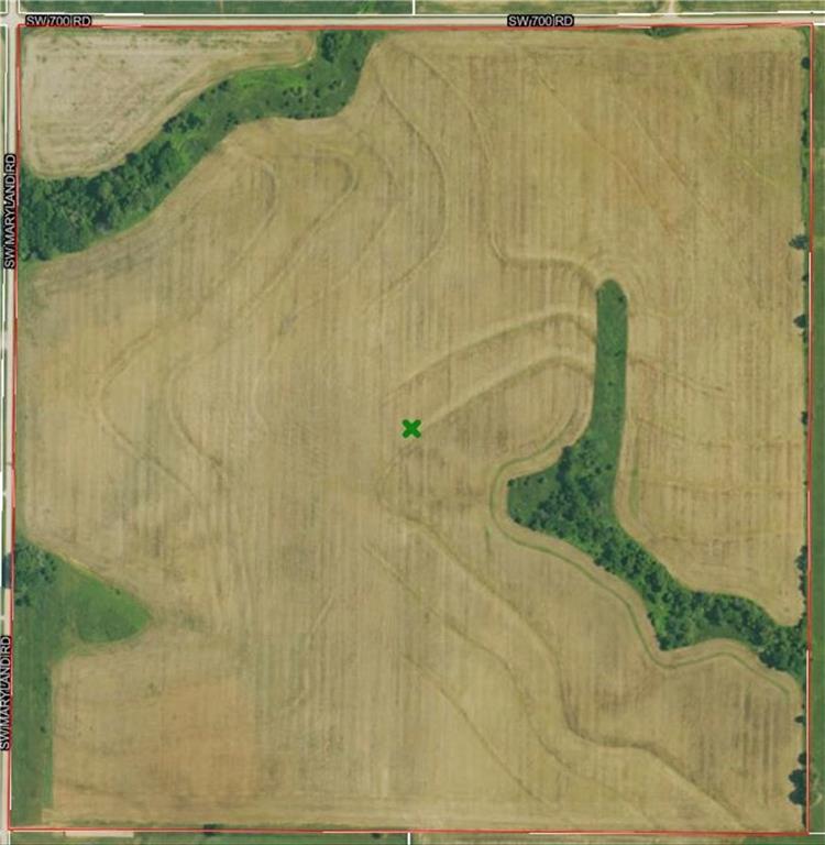 Listing Photo MLS #HMS2557176