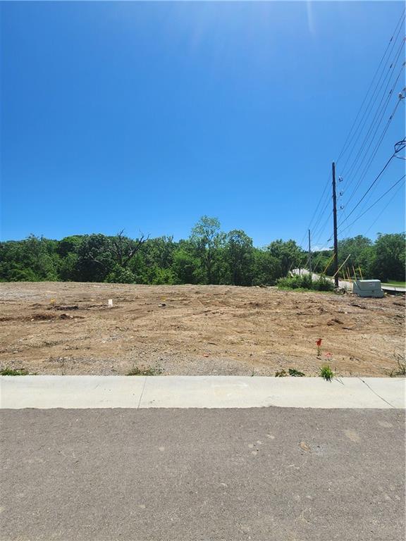 Listing Photo MLS #HMS2557355