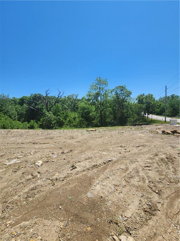 Listing Photo MLS #HMS2557399