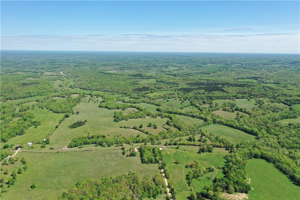 Listing Photo MLS #HMS2557582