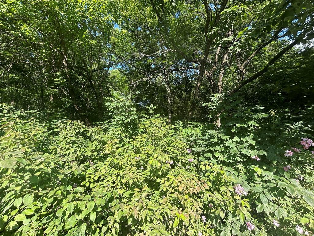 Listing Photo MLS #HMS2557631