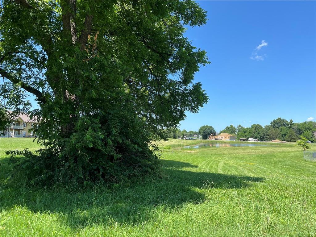 Listing Photo MLS #HMS2557704