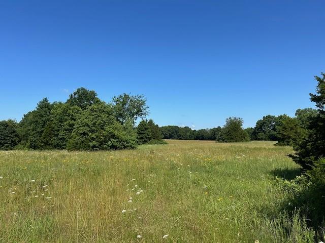 Listing Photo MLS #HMS2557969