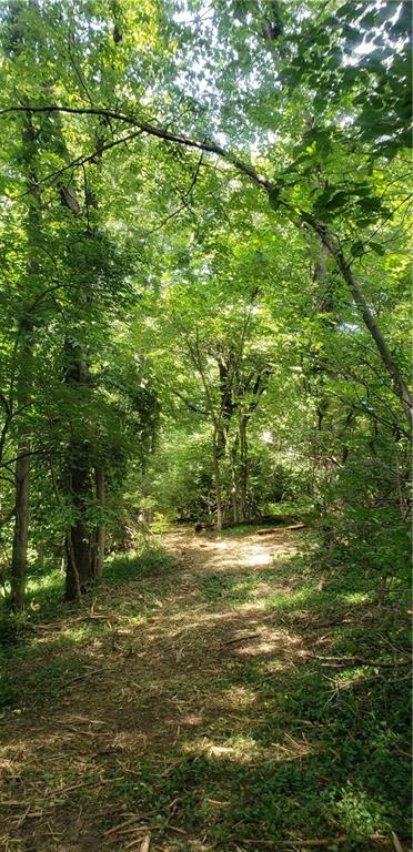 Listing Photo MLS #HMS2558970