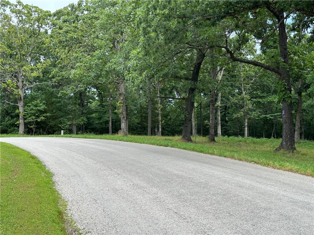 Listing Photo MLS #HMS2559602
