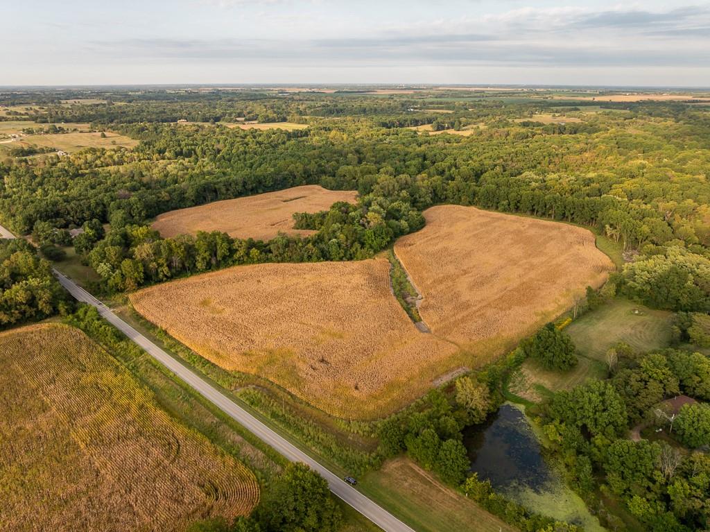 Listing Photo MLS #HMS2568590