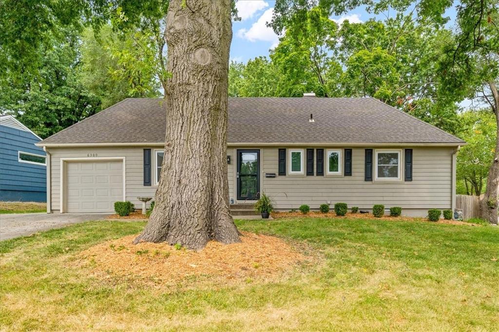 Listing Photo MLS #HMS2568795