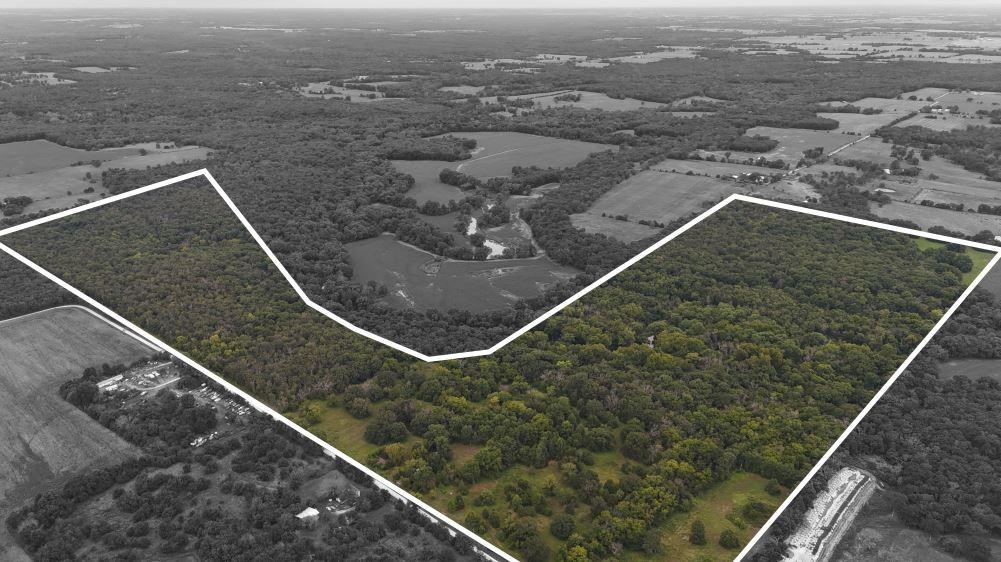 Listing Photo MLS #HMS2569331