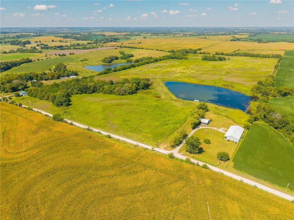 Listing Photo MLS #HMS2570374
