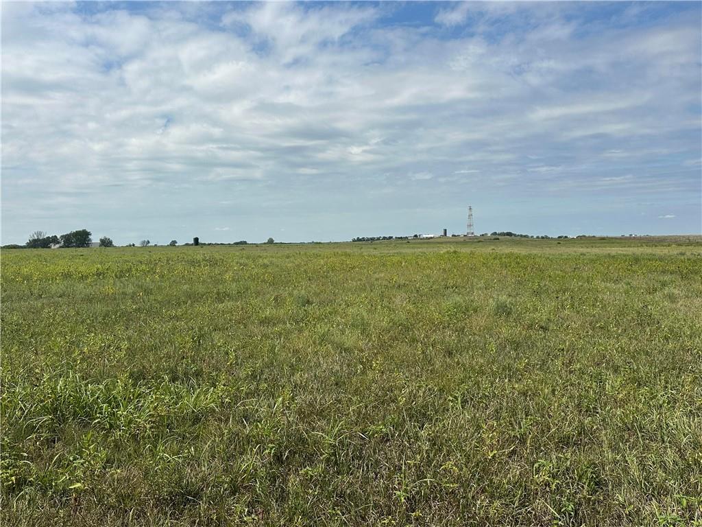 Listing Photo MLS #HMS2572348