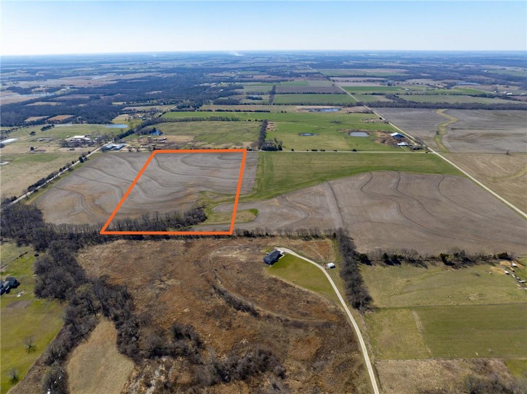 Listing Photo MLS #HMS2572388