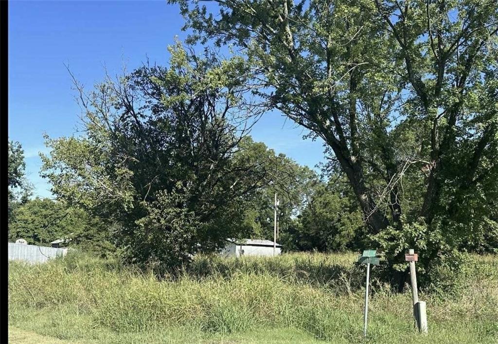 Listing Photo MLS #HMS2572437