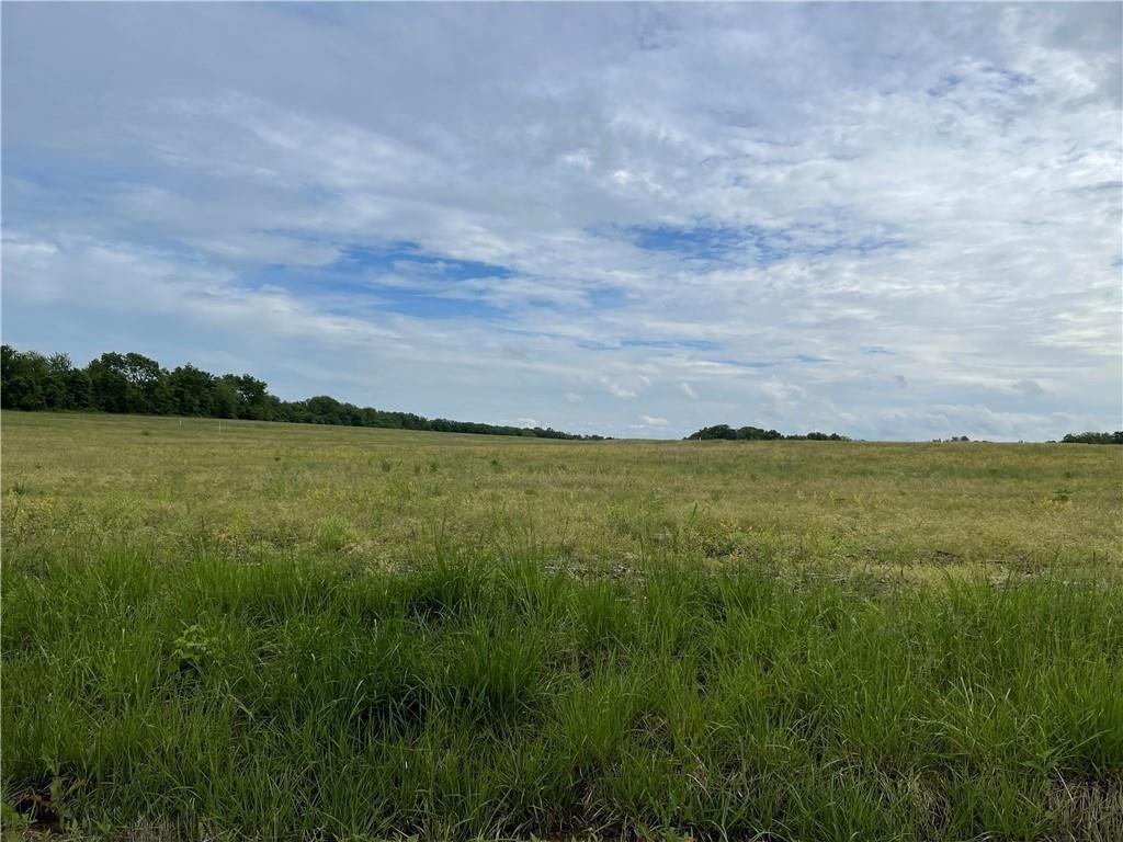 Listing Photo MLS #HMS2572679