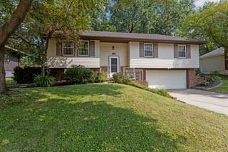 Listing Photo MLS #HMS2574054