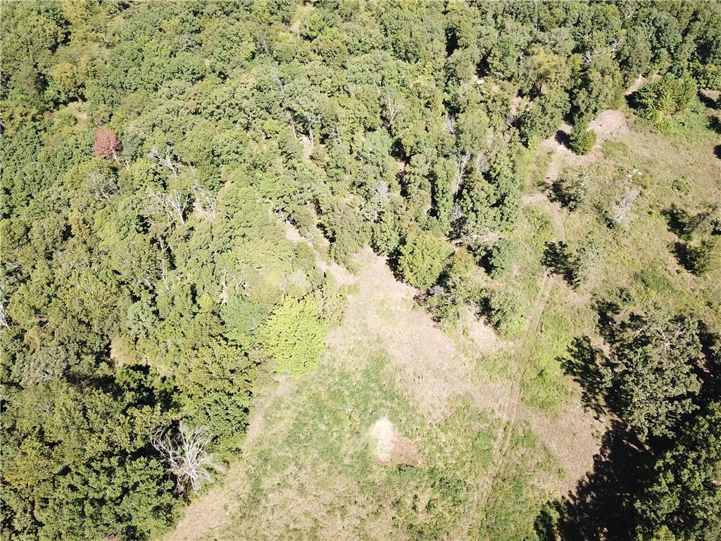 Listing Photo MLS #HMS2574160