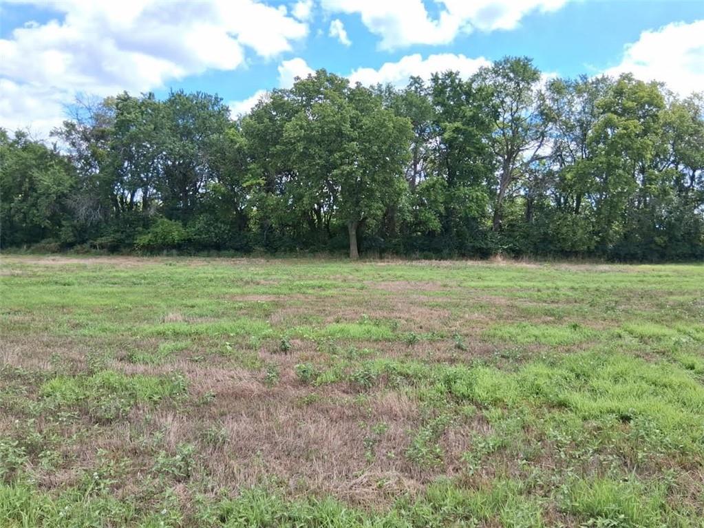 Listing Photo MLS #HMS2574298