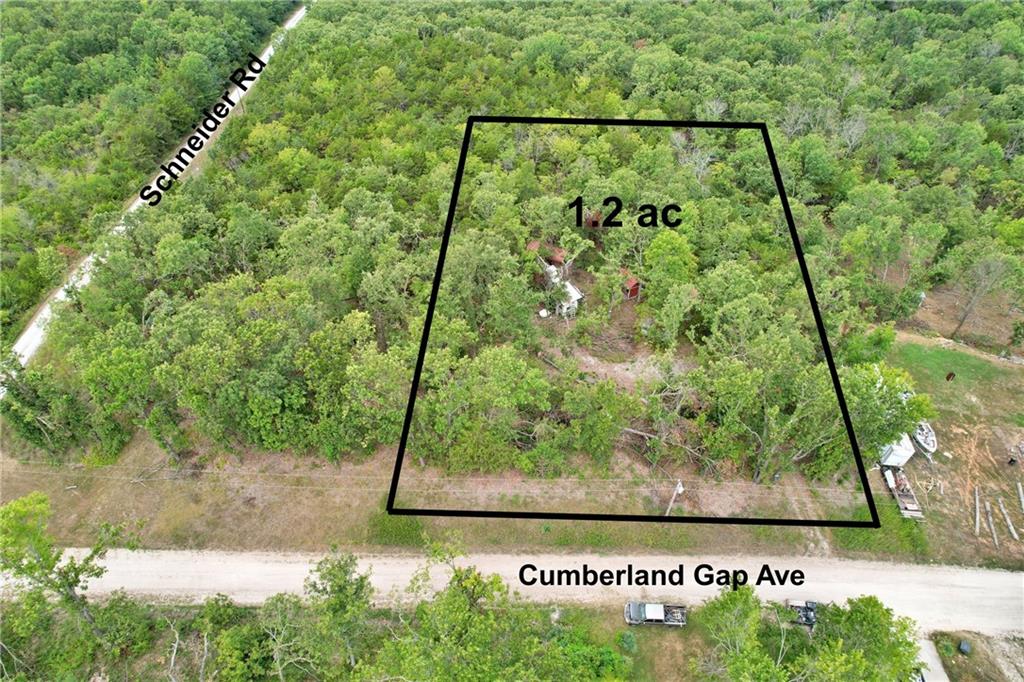 Listing Photo MLS #HMS2574759