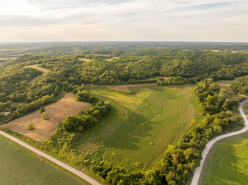 Listing Photo MLS #HMS2574856