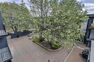 Listing Photo MLS #HMS2574936