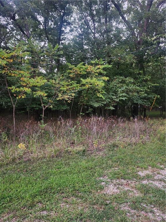 Listing Photo MLS #HMS2575276