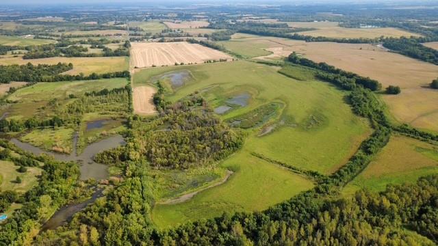 Listing Photo MLS #HMS2575448