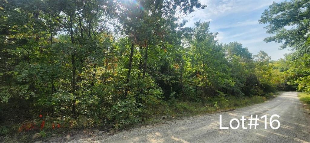 Listing Photo MLS #HMS2575866