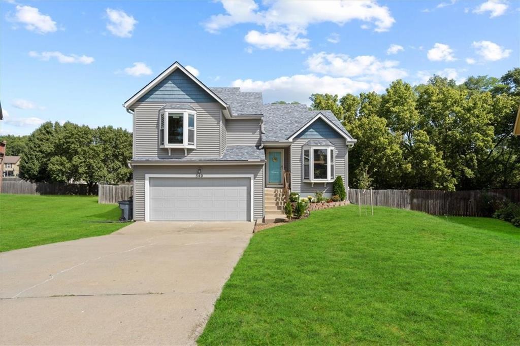 Listing Photo MLS #HMS2577311