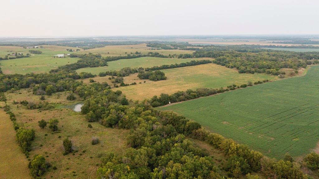 Listing Photo MLS #HMS2577323