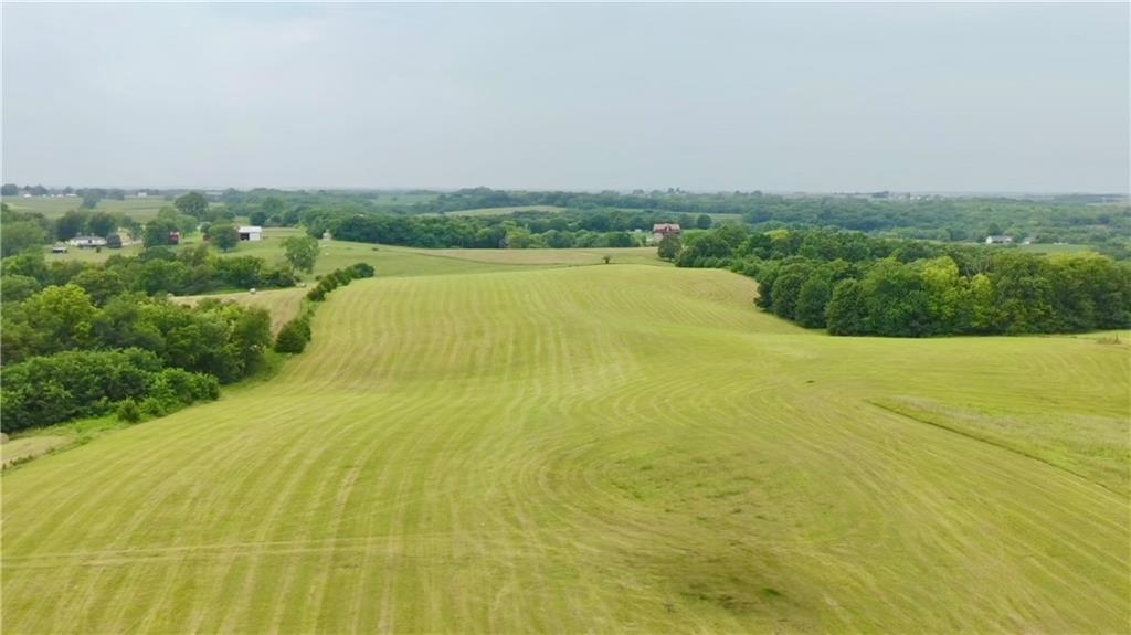 Listing Photo MLS #HMS2578449