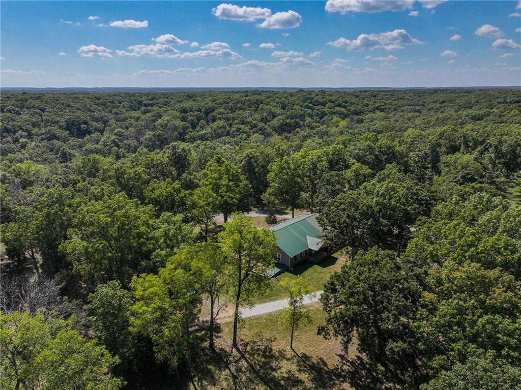 Listing Photo MLS #HMS2578494