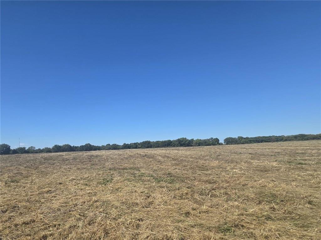 Listing Photo MLS #HMS2578549