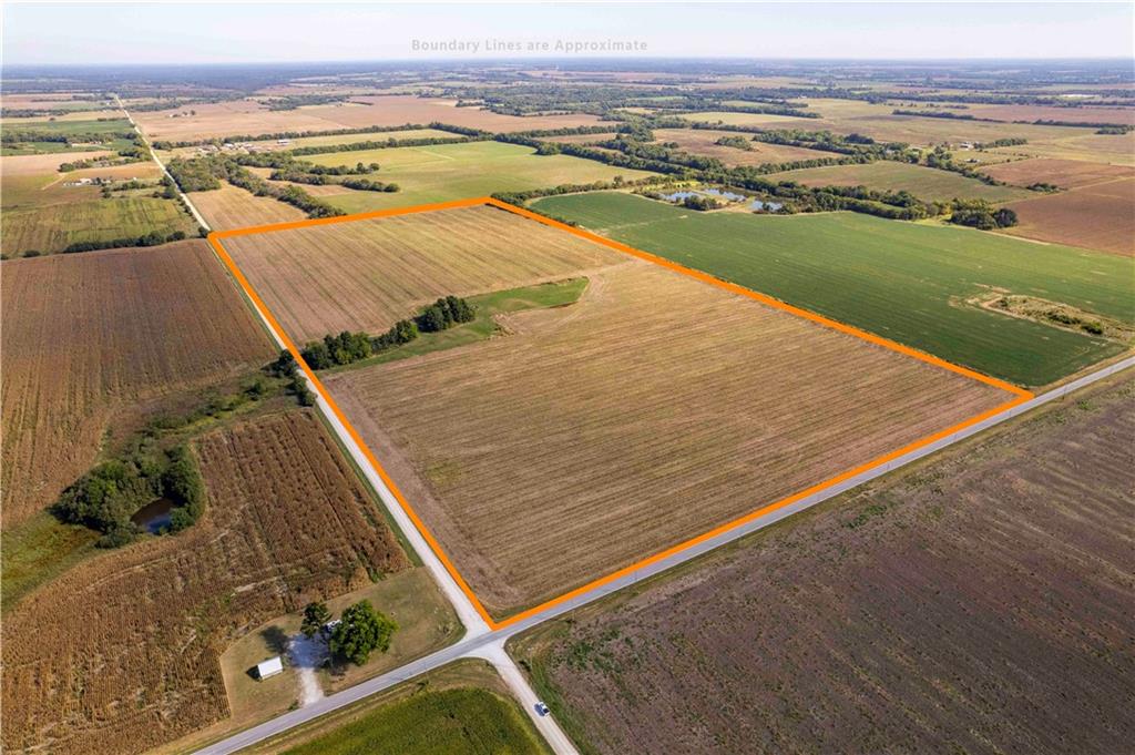 Listing Photo MLS #HMS2578573