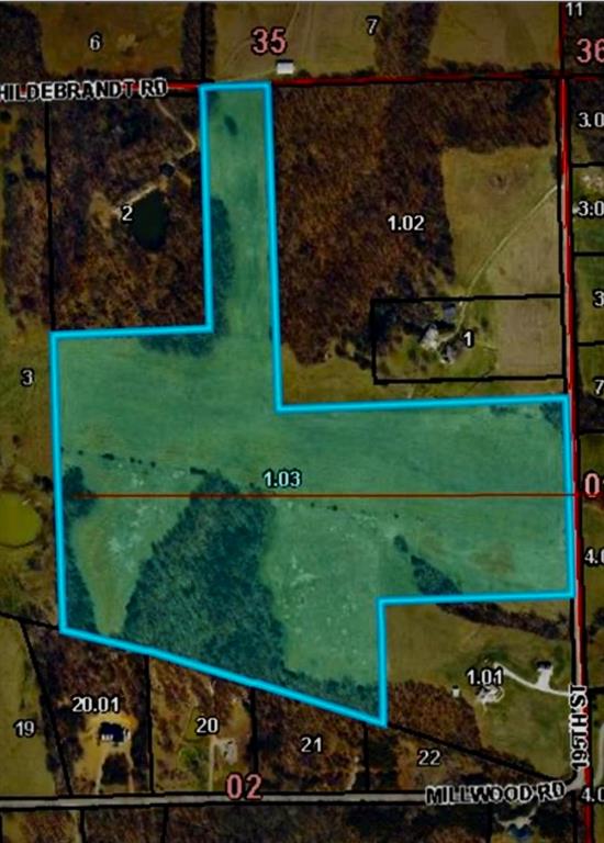 Listing Photo MLS #HMS2578674